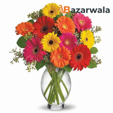 Bazarwala ২৫টি মিশ্র রঙের জারবেরা ডেইজি ফুলের ভাস