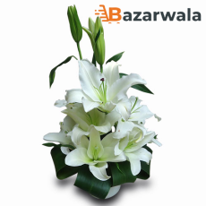 Bazarwala Token of Peace