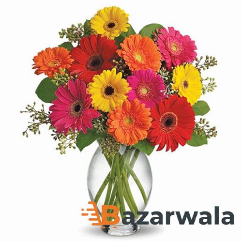 Bazarwala ২৫টি গারবেরা ডেইজি ভেসে