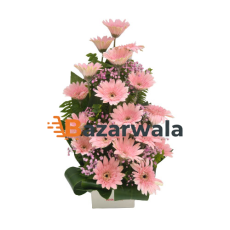 Bazarwala চোখে পড়ার মতো জার্বেরা