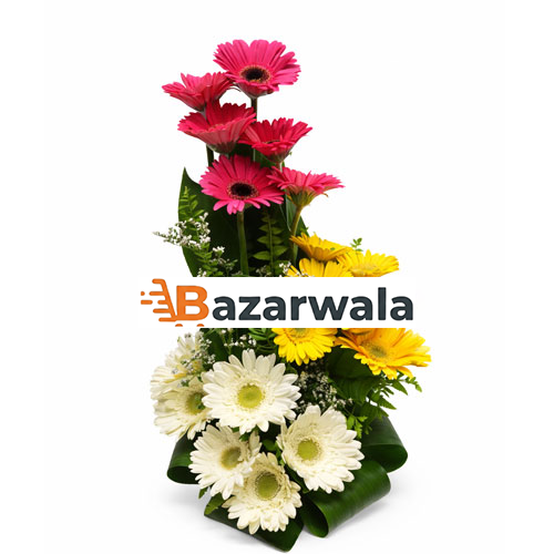 Bazarwala রঙিন জার্বেরা সাজসজ্জা
