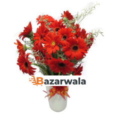 Bazarwala লাল জার্বেরার সাজসজ্জা