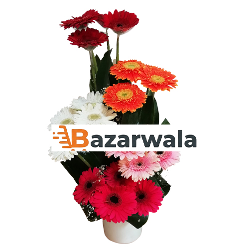 Bazarwala জার্বেরা সারপ্রাইজ