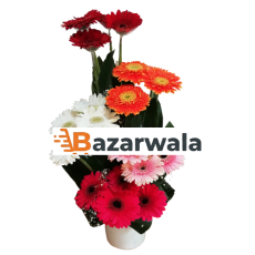 Bazarwala জার্বেরা সারপ্রাইজ
